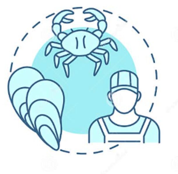 Maricultura