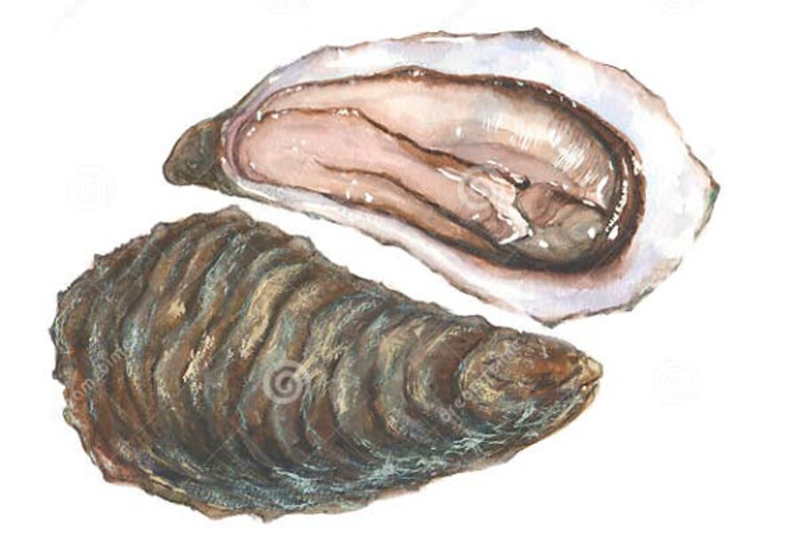 Ostras