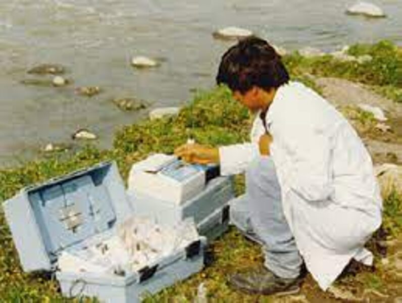 Trabajo de Campo